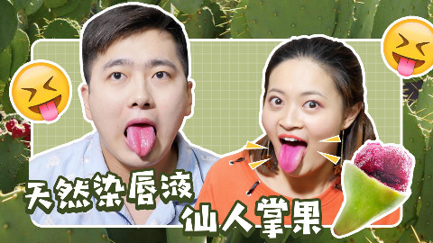 仙人掌竟然能结果实!它的味道你尝过吗?
